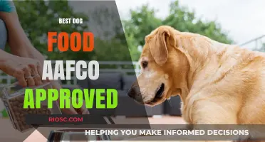 Top AAFCO-Approved Dog Foods: Nutrition and Taste Combined