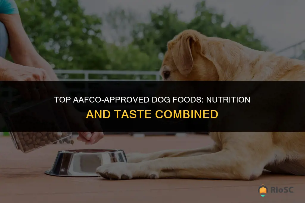 best dog food aafco approved