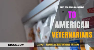 Top Picks for Your Furry Friend: American Veterinarians' Favorite Dog Food Brands