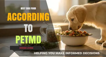 Top-Rated Dog Food Picks by PetMD: A Comprehensive Guide for Pet Owners