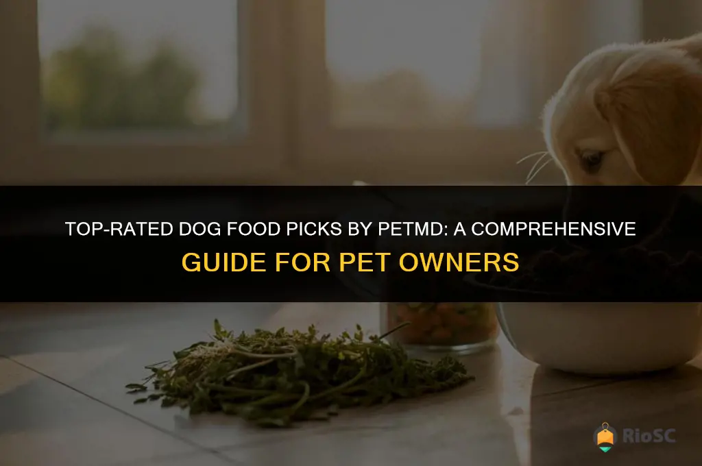best dog food according to petmd