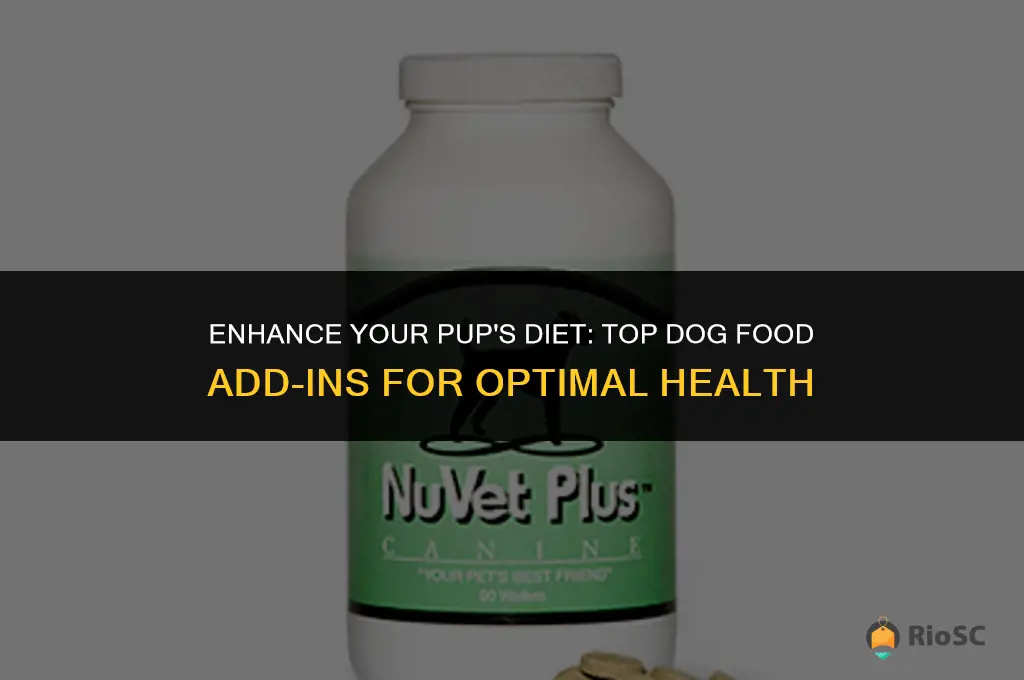 best dog food add ins