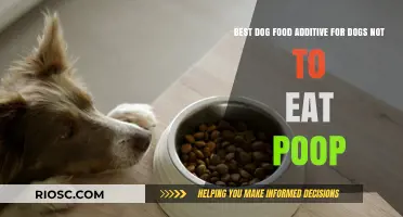 Enhancing Canine Health: Discover the Top Dog Food Additive to Curb Poop-Eating Behavior