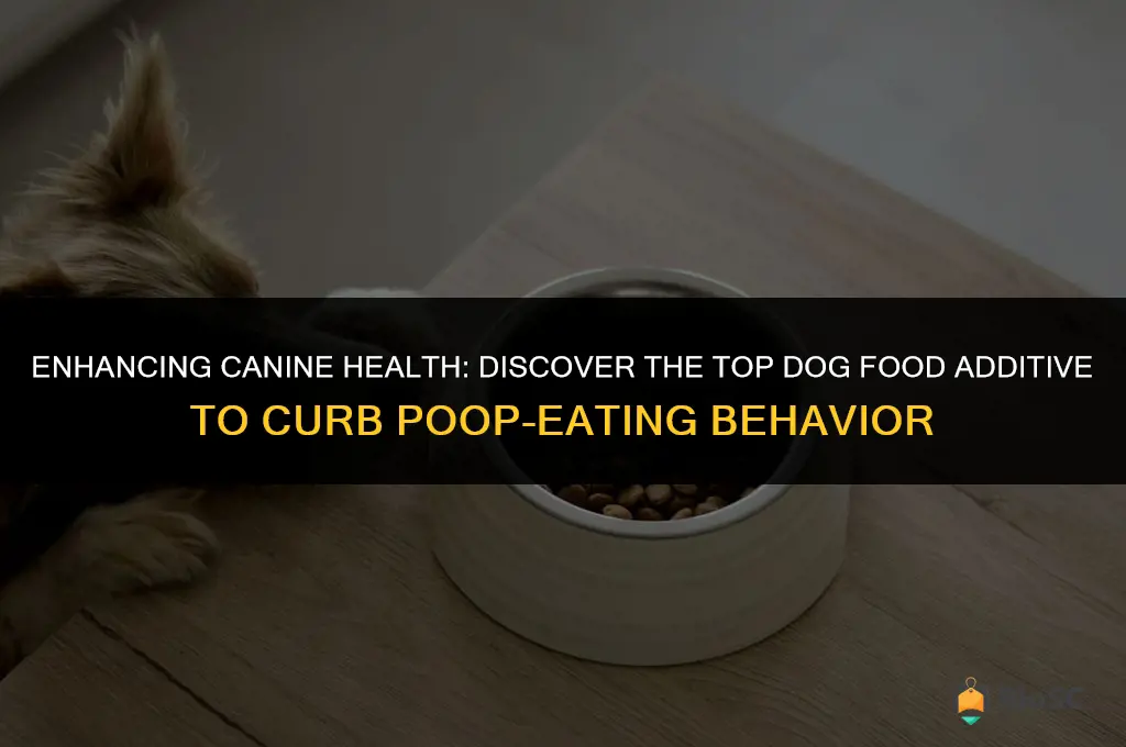 best dog food additive for dogs not to eat poop