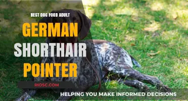 Top Picks for Adult German Shorthair Pointers: The Best Dog Food for Optimal Health and Performance
