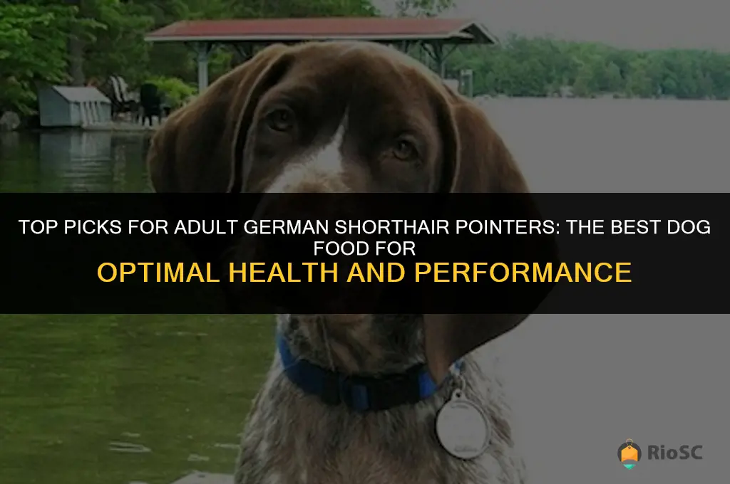 best dog food adult german shorthair pointer