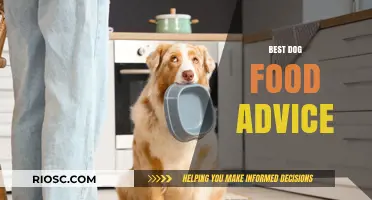 Expert Tips on Choosing the Perfect Dog Food for Your Furry Friend