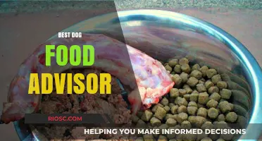 Top Picks for Your Furry Friend: The Ultimate Dog Food Advisor