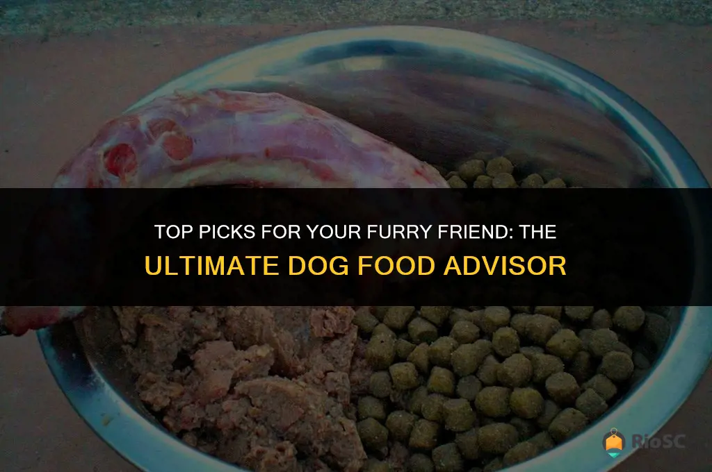 best dog food advisor