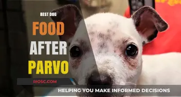 Nourishing Recovery: Top Dog Food Choices Post-Parvo Infection