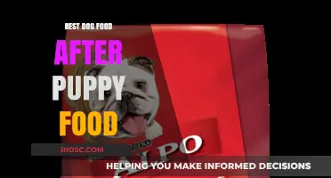 Transitioning from Puppy Chow: Top Picks for Your Dog's Next Meal