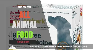 Nutrition Unleashed: Discovering the Best Dog Food Amidst All Animal Feed Options