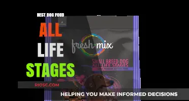 Nourishing Your Furry Friend: The Ultimate Guide to All-Life-Stage Dog Food