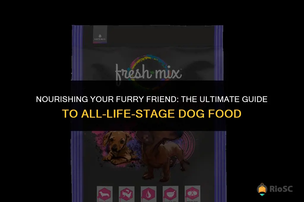 best dog food all life stages