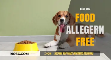 Top Picks for Allergy-Free Dog Food: Keep Your Pup Healthy and Happy