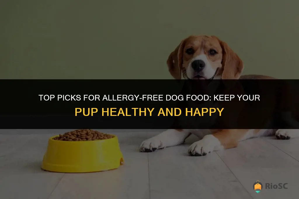 best dog food allegern free