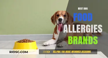 Top Picks for Allergy-Friendly Dog Food Brands