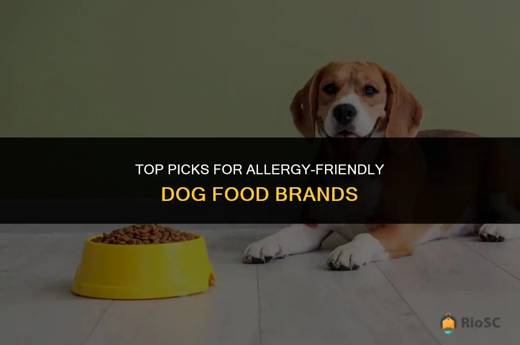 best dog food allergies brands