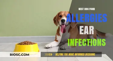 Top Picks for Dog Food to Combat Allergies and Ear Infections