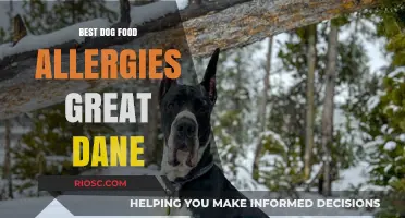 Top Picks for Great Dane Allergy-Friendly Dog Food: A Comprehensive Guide