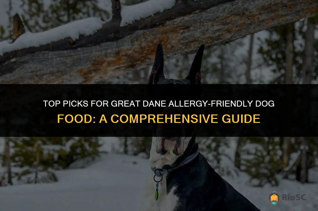 best dog food allergies great dane