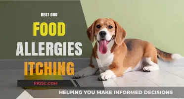 Top Picks for Soothing Dog Food Allergies and Itching: A Comprehensive Guide