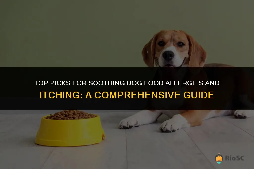 best dog food allergies itching