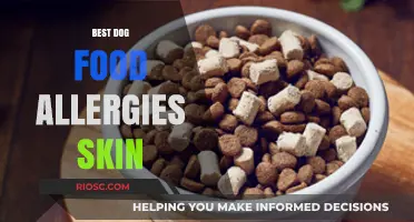 Top Hypoallergenic Dog Foods to Soothe Skin Allergies and Promote Healthy Coats