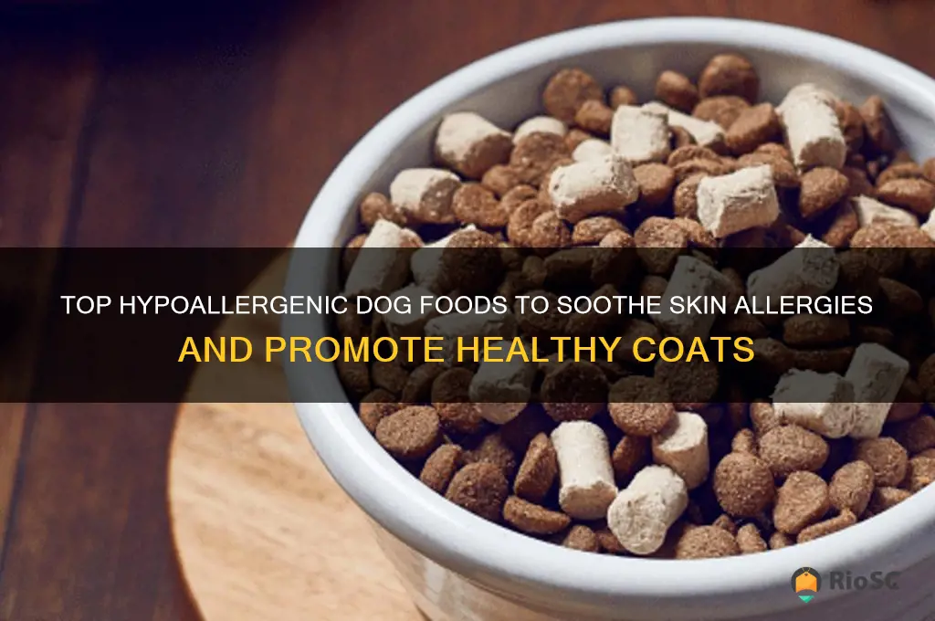 best dog food allergies skin