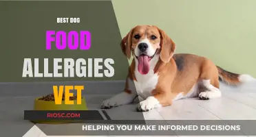 Expert Vet Recommendations: Top Dog Foods for Allergy Relief