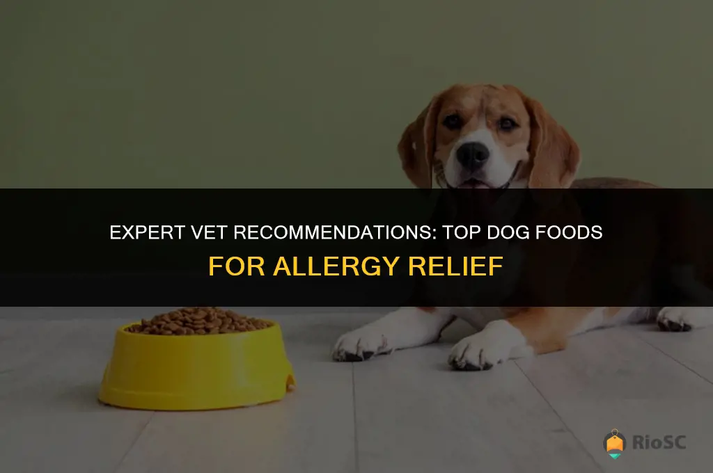 best dog food allergies vet