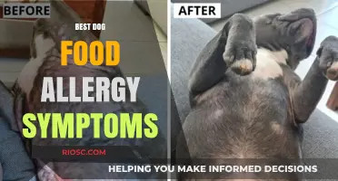 Understanding Dog Food Allergies: Symptoms and Solutions for Your Pet's Health