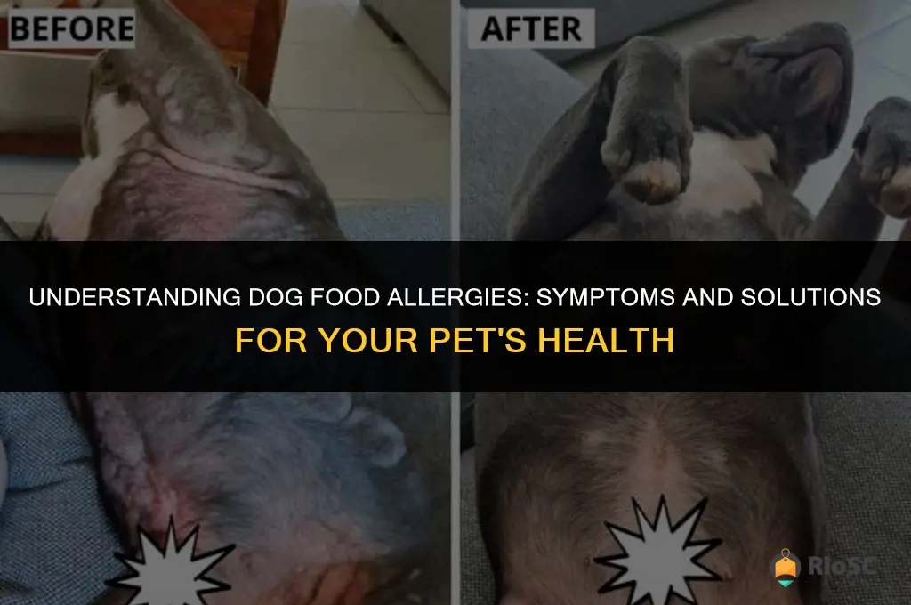 best dog food allergy symptoms