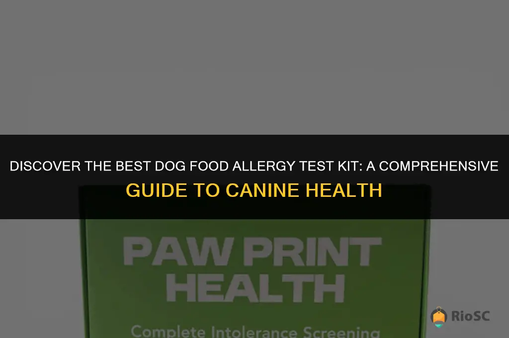best dog food allergy test kit