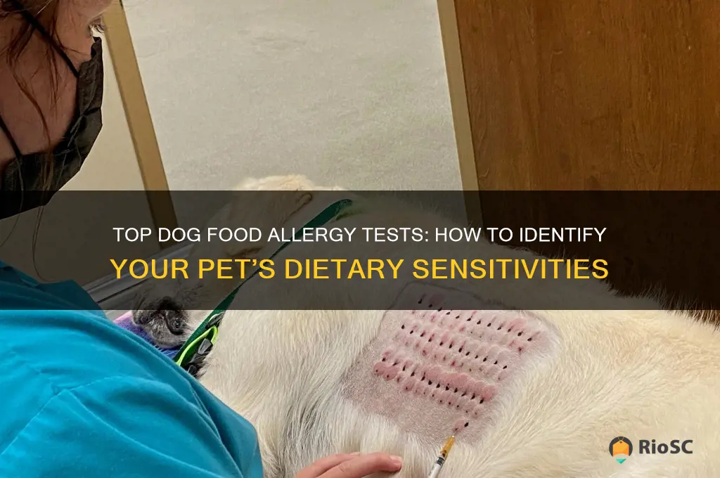 best dog food allergy test
