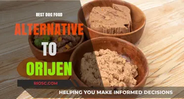 Exploring Top Dog Food Alternatives to Orijen: A Comprehensive Guide for Pet Owners