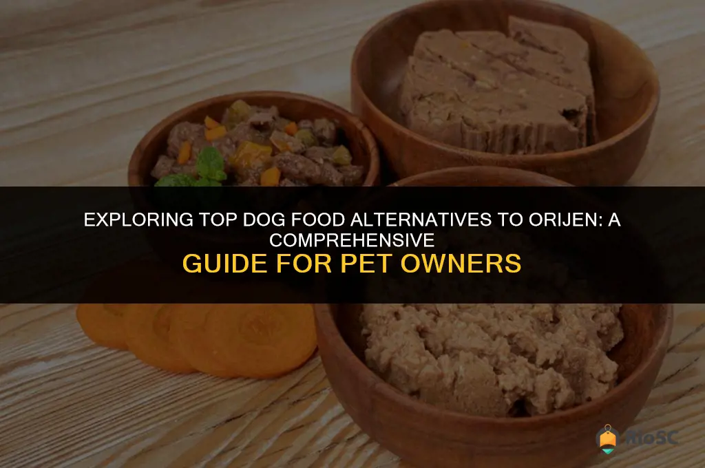 best dog food alternative to orijen
