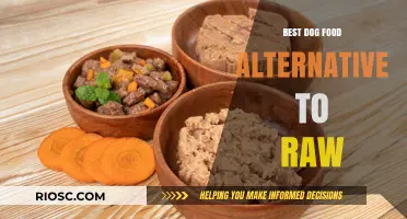 Exploring Nutritious Alternatives to Raw Dog Food: A Comprehensive Guide for Pet Owners