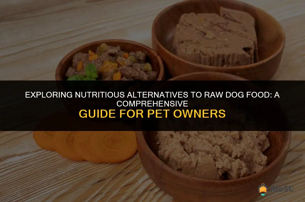best dog food alternative to raw