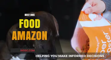 Top Picks for Your Furry Friend: Best Dog Food Available on Amazon