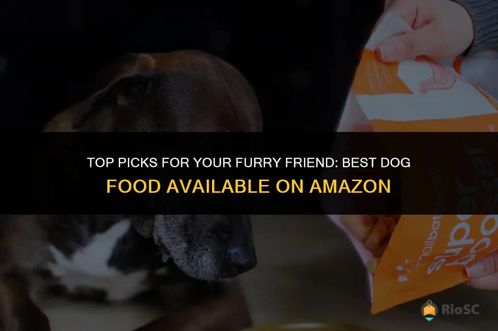 best dog food amazon