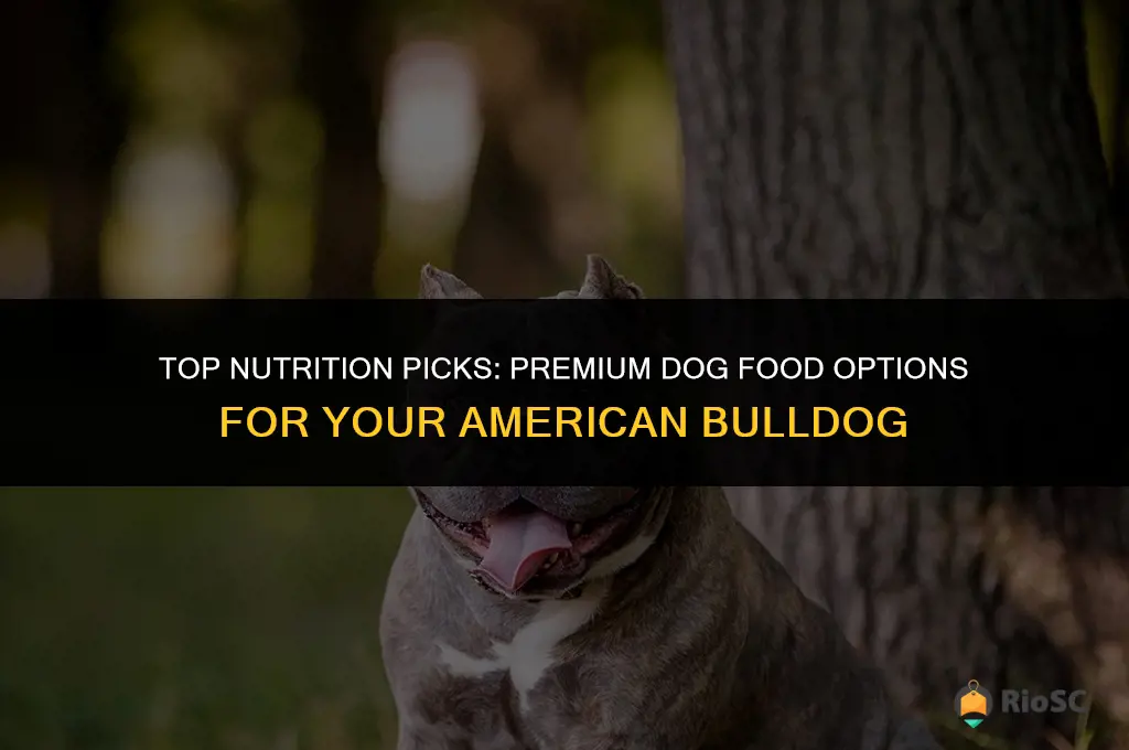 best dog food american bulldog