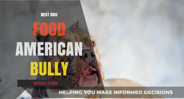Top-Rated Dog Food Options for American Bullies: Nutrition for Optimal Health and Muscle Growth