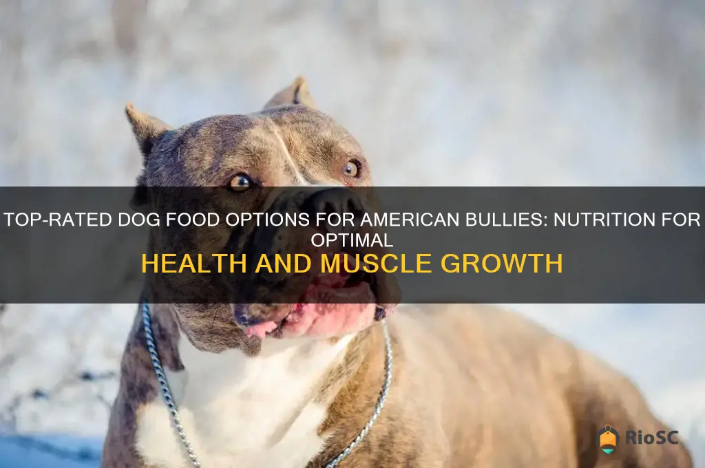 best dog food american bully