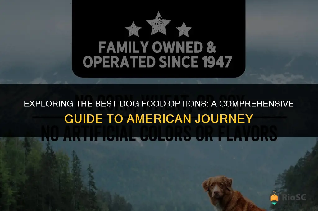 best dog food american journey
