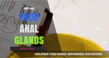 Top Picks for Dog Food to Support Anal Gland Health