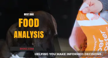 Decoding the Best Dog Food: A Comprehensive Analysis for Your Canine Companion