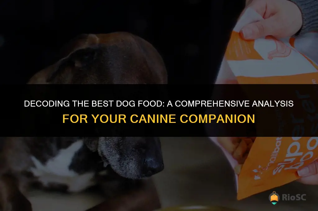 best dog food analysis