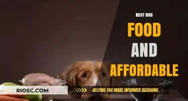 Top Picks for Nutritious and Budget-Friendly Dog Food Options