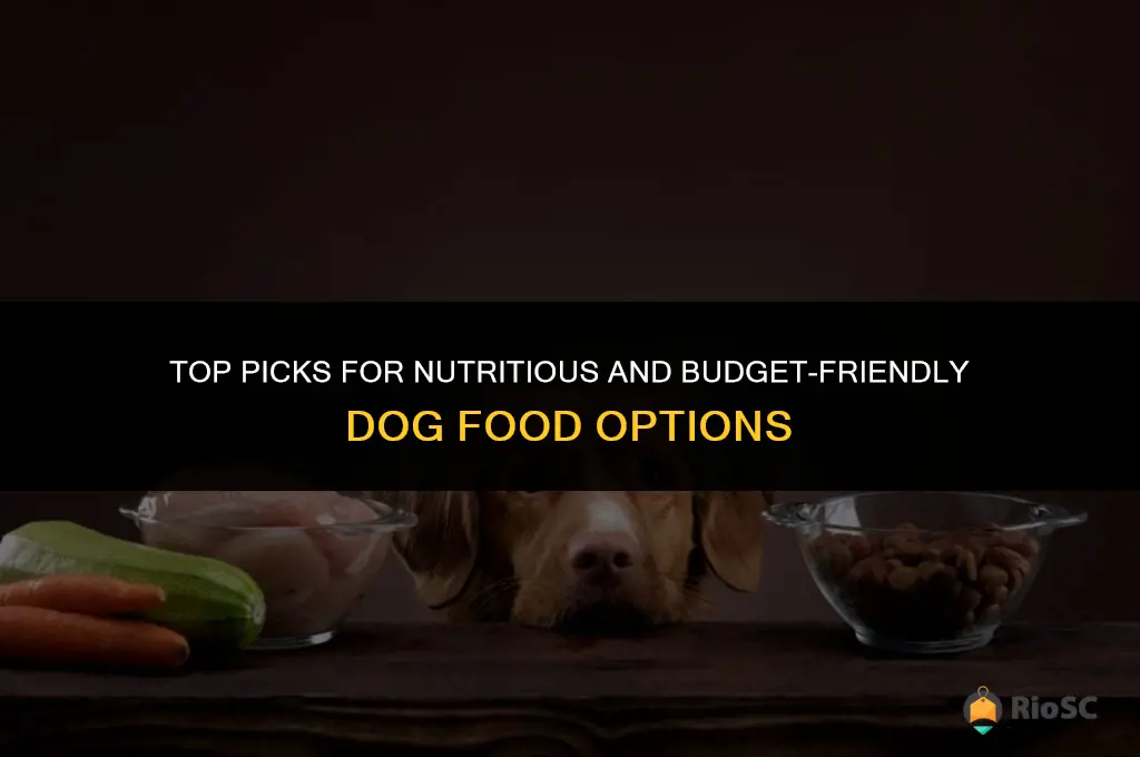 best dog food and affordable